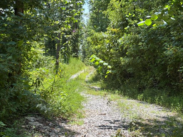 Land for sale in Tennessee