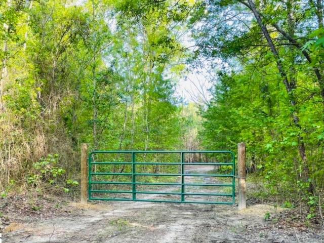 Land for sale in Johnston, South Carolina
