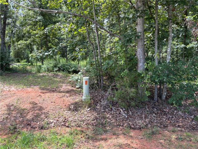 Land for sale in Easley, Pickens County
