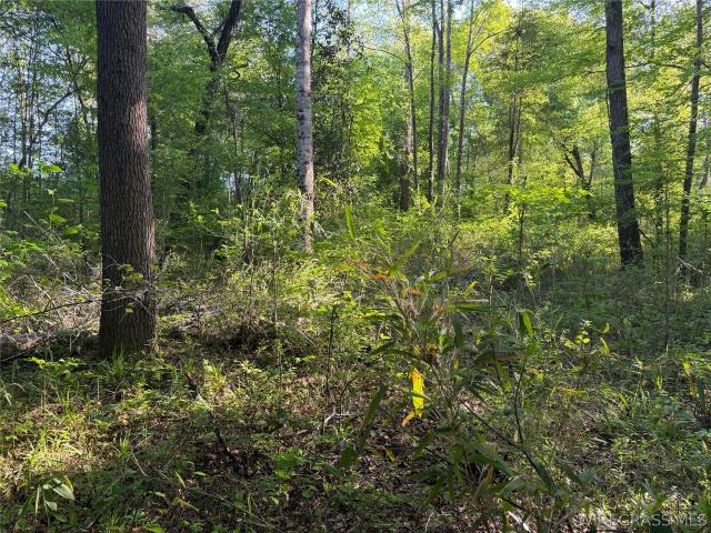 Farm for sale in Dozier