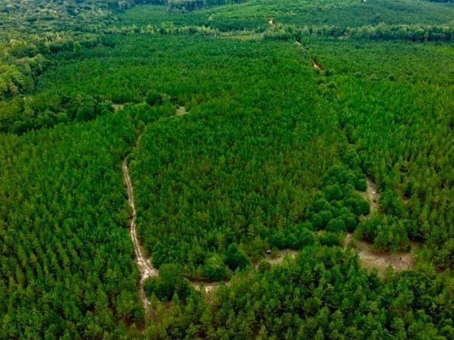 Land for sale in Georgia