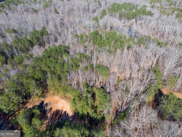 Land for sale in Grantville, Georgia