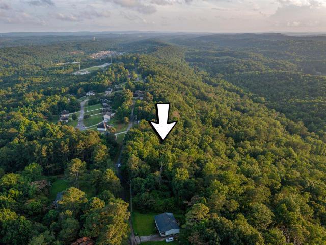 Land for sale in Margaret, Alabama