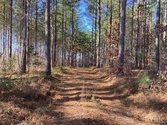 Land for sale in Brookneal, Campbell County