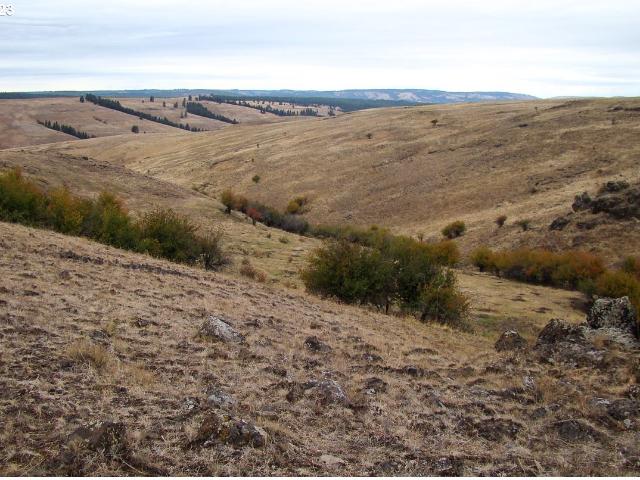 Land for sale in Oregonia