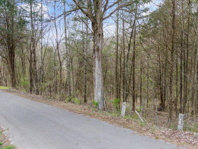 Land for sale in Tennessee