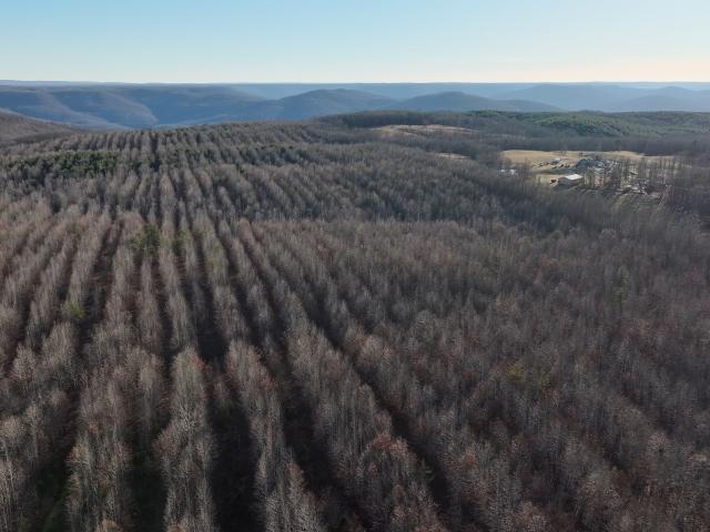 Land for sale in Tennessee