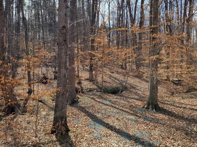 Land for sale in Virginia