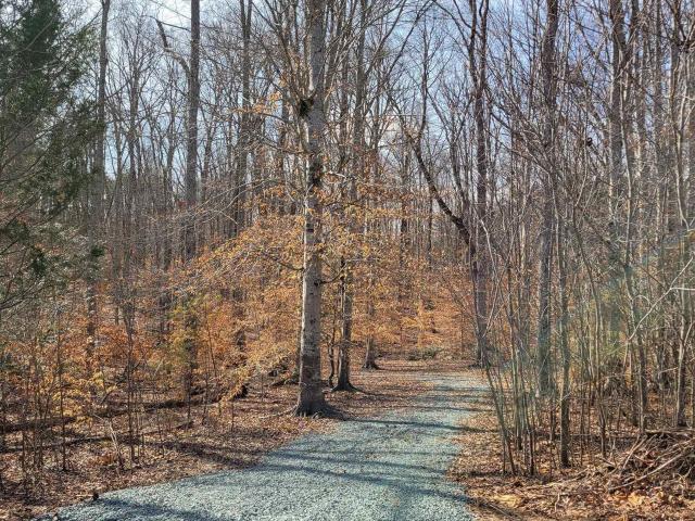Land for sale in Virginia