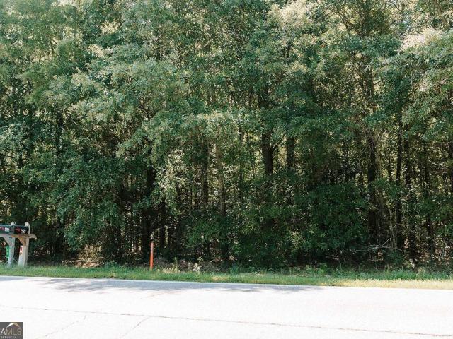 Land for sale in Carlton, Georgia