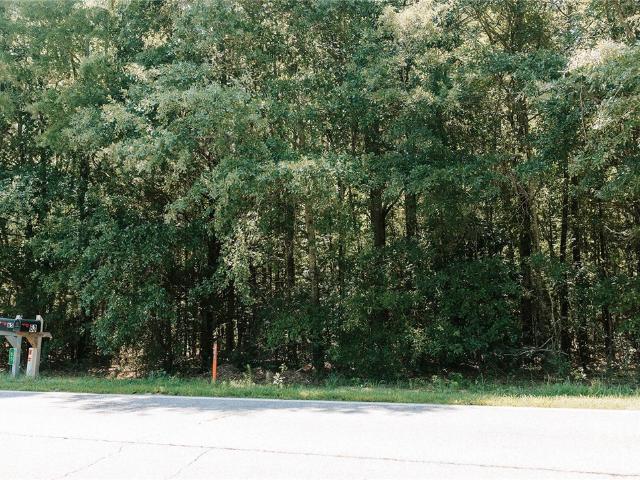 Land for sale in Carlton, Georgia