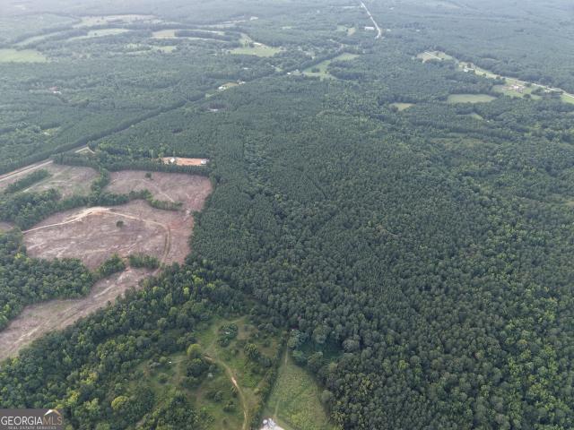 Land for sale in Elbert, Georgia