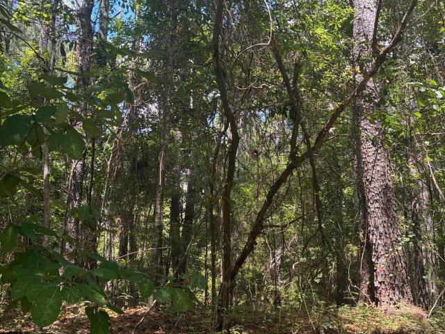 Land for sale in Mccomb, Mississippi