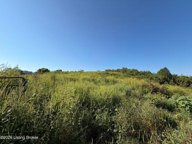Land for sale in Bradfordsville, Marion County