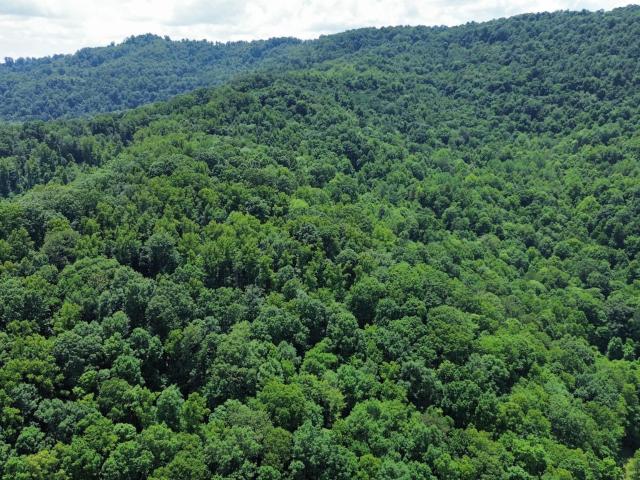 Land for sale in Tennessee