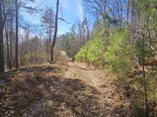 Farm for sale in Tennessee
