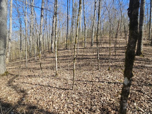 Farm for sale in Tennessee
