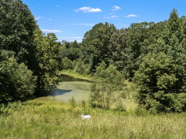 Land for sale in Tennessee