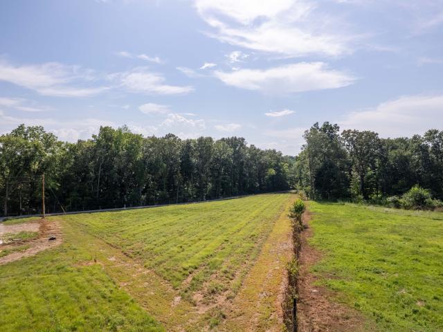 Land for sale in Duncantown, Estill Springs