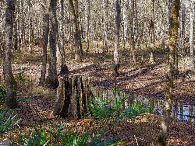 Land for sale in Cochran, Georgia