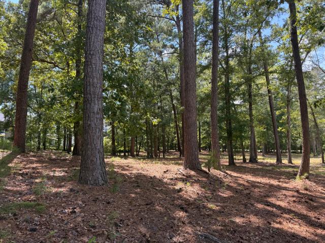 Land for sale in Summerville, South Carolina