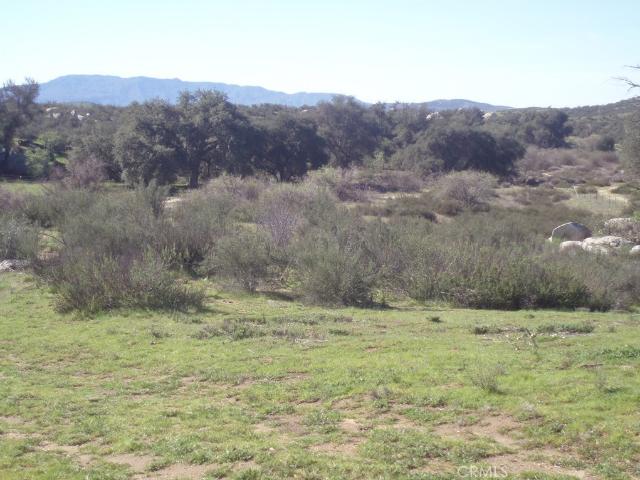Land for sale in Sage, California