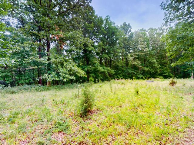 Land for sale in Tennessee