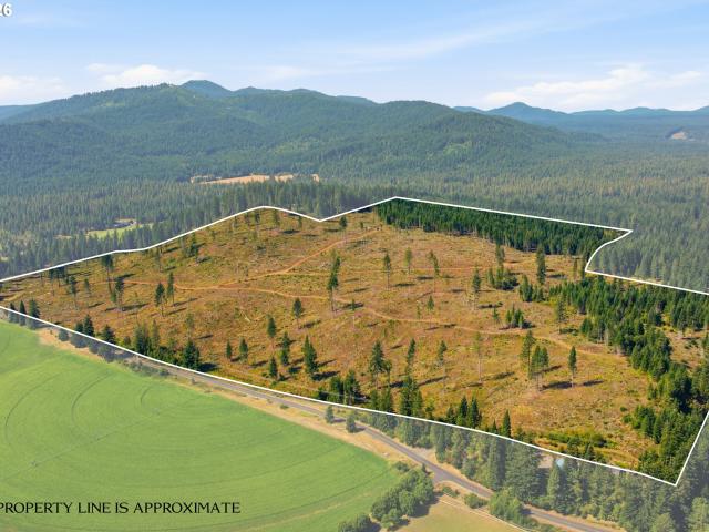 Land for sale in Trout Lake, Washington