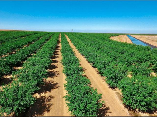 Land for sale in Firebaugh, California