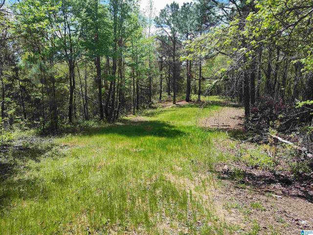 Land for sale in Coosa, Alabama