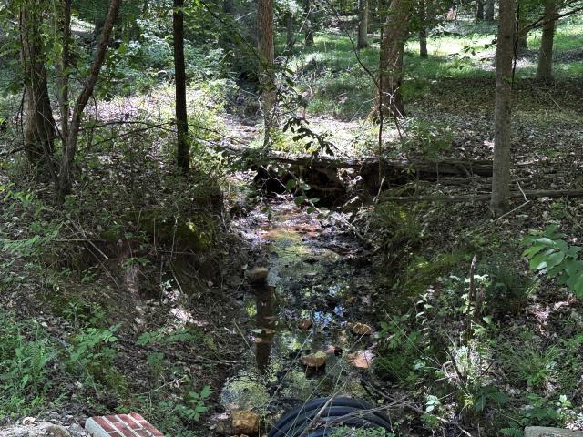 Land for sale in Tennessee
