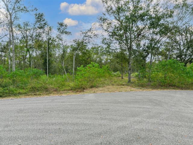 Land for sale in Damon, Texas