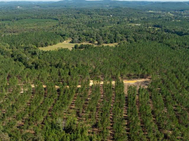 Land for sale in Lindale, Georgia