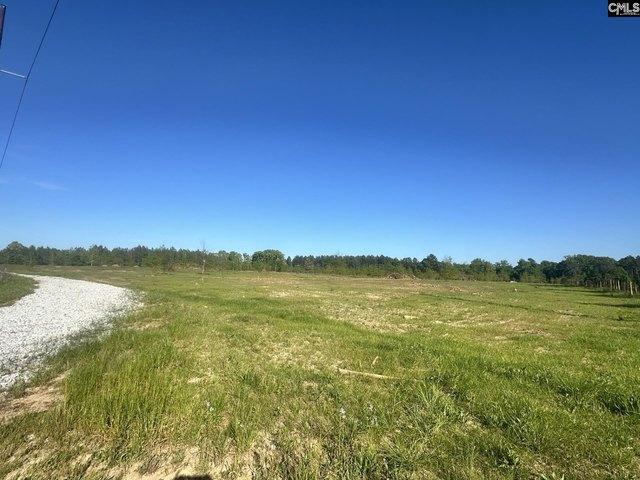 Land for sale in Pomaria, South Carolina