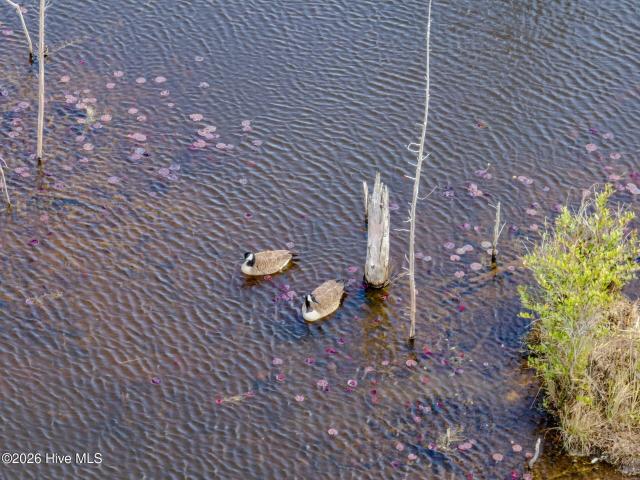 Land for sale in Vass, North Carolina