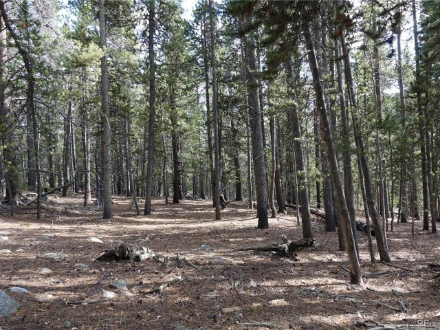 Land for sale in Clear Creek, Colorado