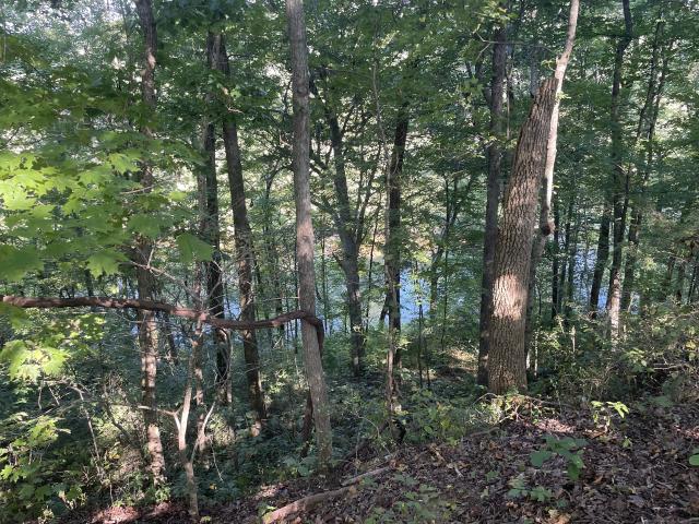 Land for sale in Jessie, Middle Tennessee