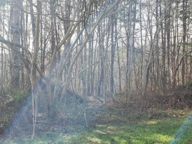 Land for sale in Landrum, South Carolina
