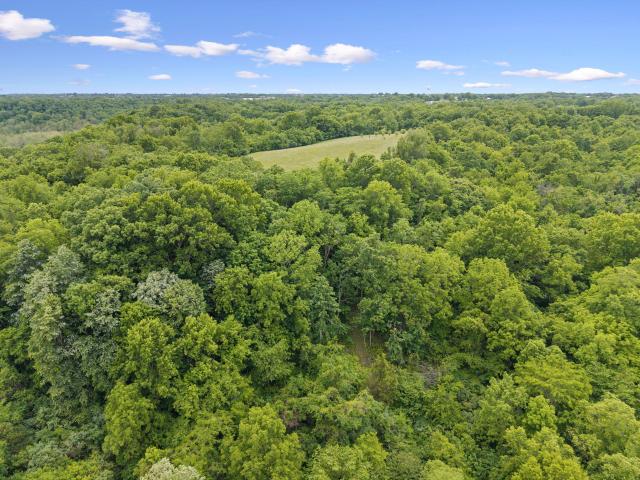 Land for sale in Augusta, Kentucky