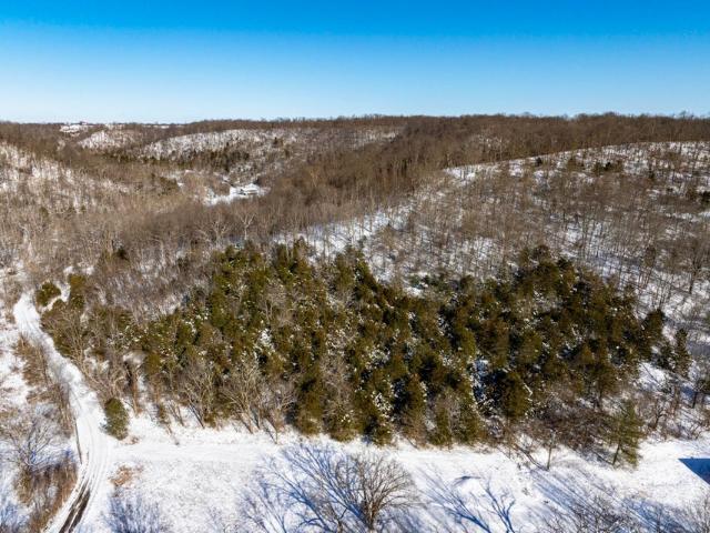 Land for sale in Augusta, Kentucky