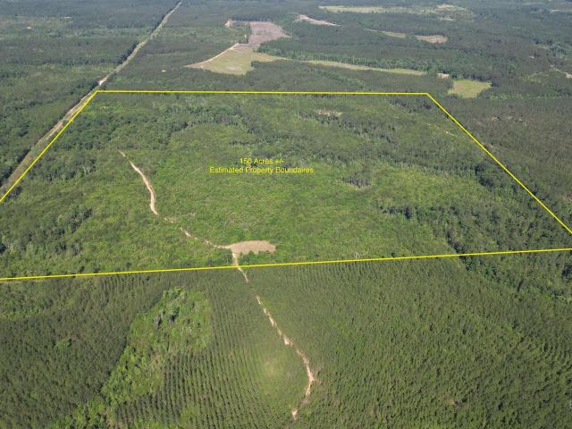 Land for sale in Alabama