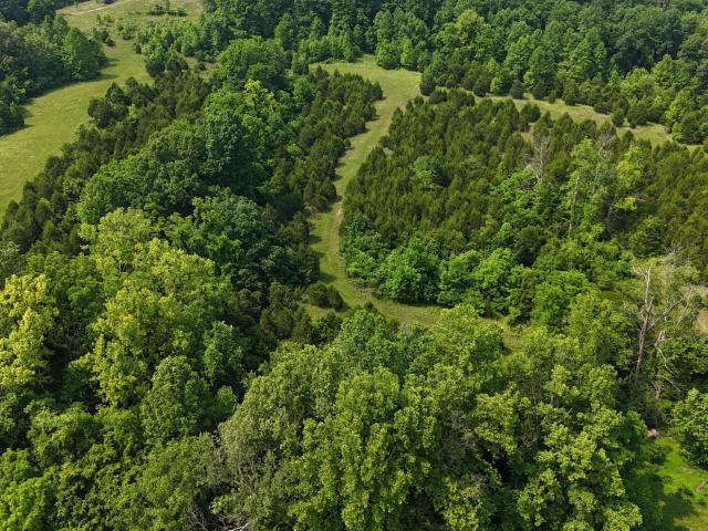 Land for sale in Bonnieville, Kentucky