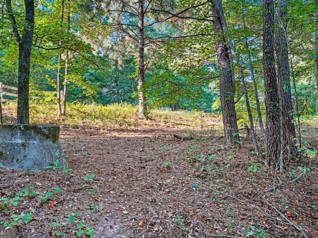 Land for sale in Spalding, Georgia