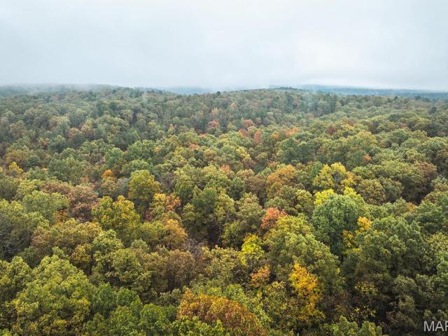 Land for sale in Mineral Point, Missouri