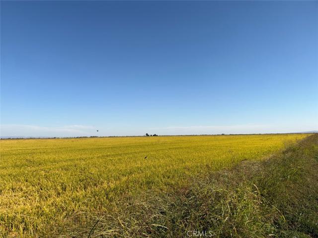 Land for sale in Richvale, Butte County