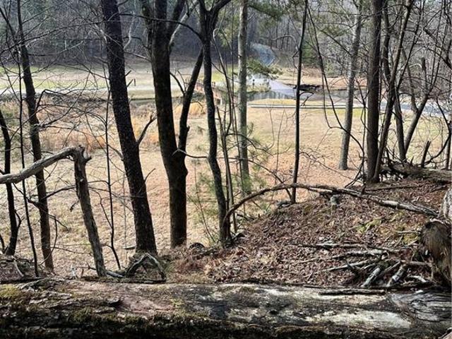 Land for sale in Pickens, Georgia