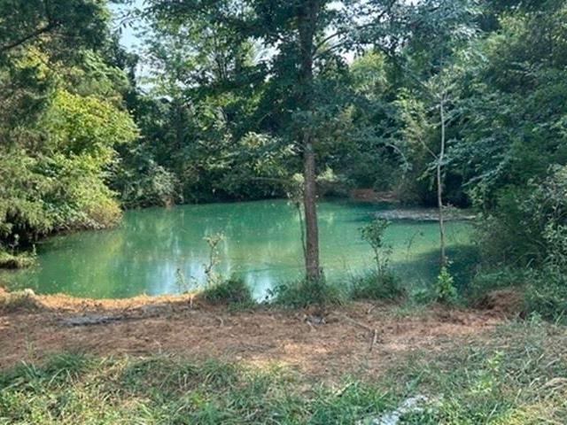 Land for sale in Logsdon Valley, Munfordville