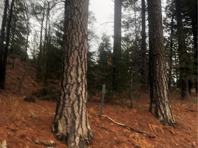 Land for sale in Green Valley Lake, California