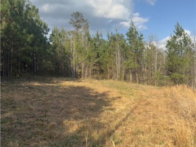 Land for sale in Virginia