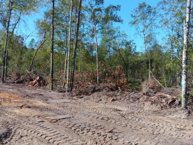 Land for sale in Barnwell, South Carolina